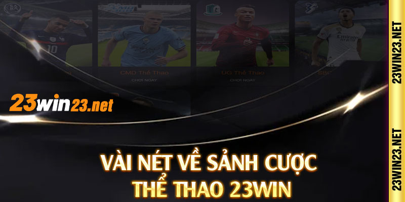 Vài nét về sảnh cược thể thao 23win